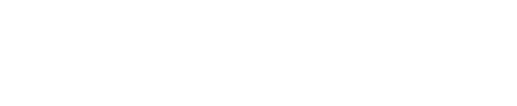 Vankiria logo blanco